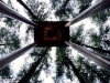 Grizedale Forest. "Torment of the Metals".