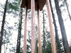 Grizedale Forest. "Torment of the Metals".