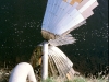 Irwell Sculpture Trail, 